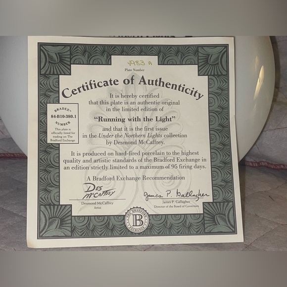 The Bradford Exchange "Running with the Light" by Desmond McCaffrey Plate #3519A - Picture 3 of 4